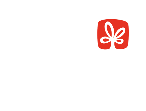 Brand-logo-SNACK-BRANDS-rev